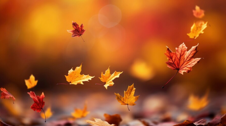 Autumn is here!