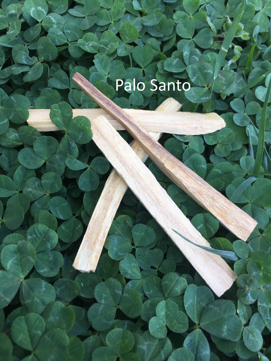 Palo Santo Sticks