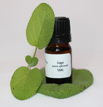 5ml Essential Oils