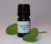 5ml Essential Oils