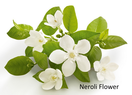 Neroli Essential Oil