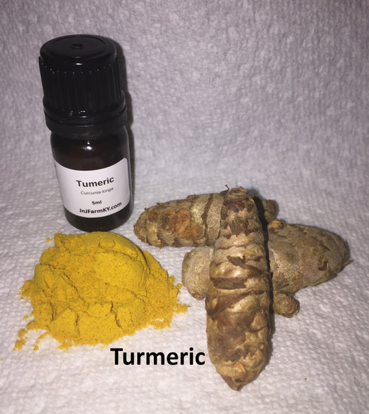 Turmeric Oil – An Underrated Plant