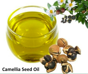 Camellia Seed Oil, Organic